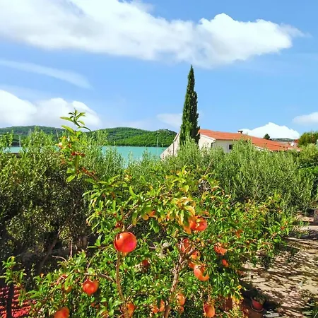 Charming In Near Beaches Apartamento *